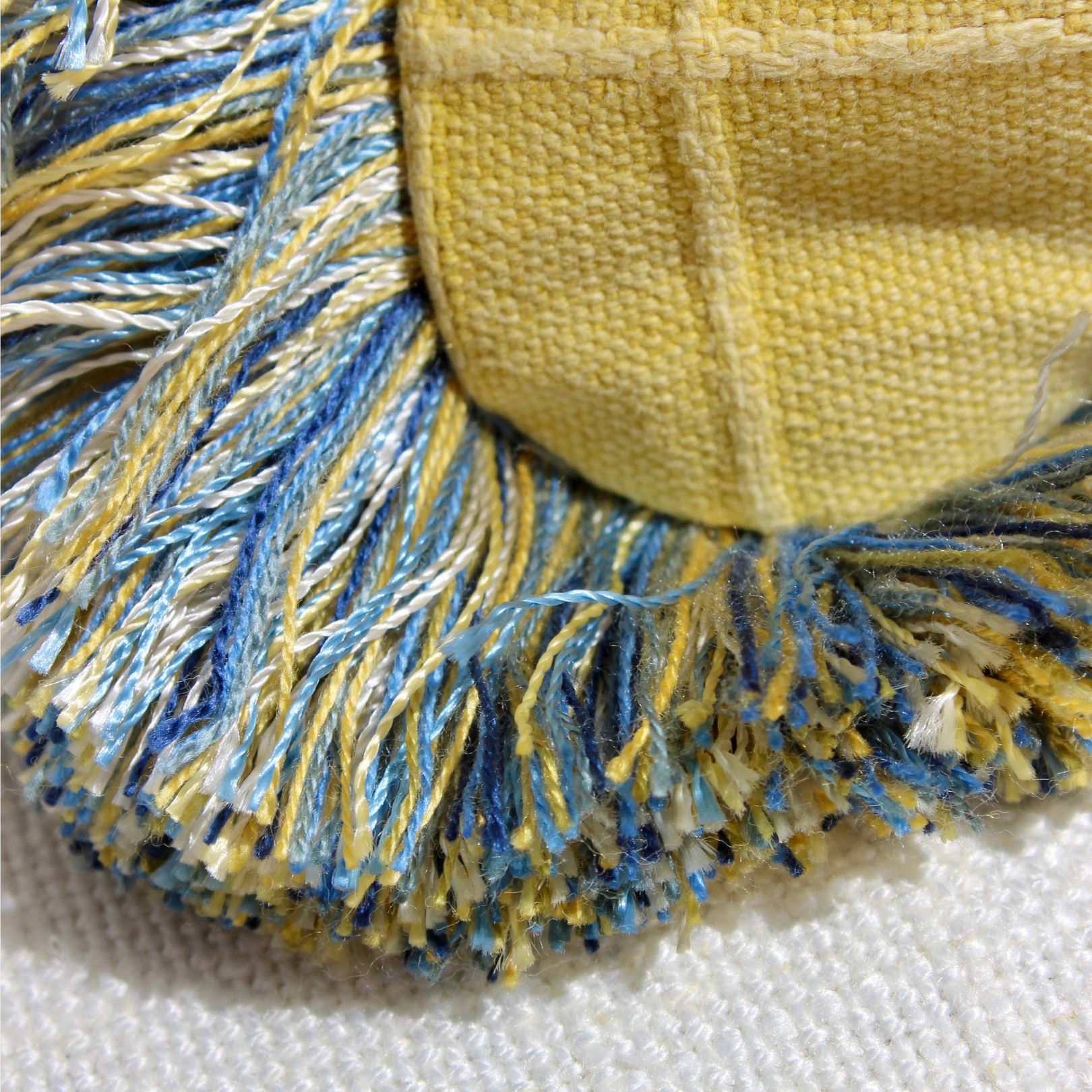 Hermit Crab Scatter Cushion