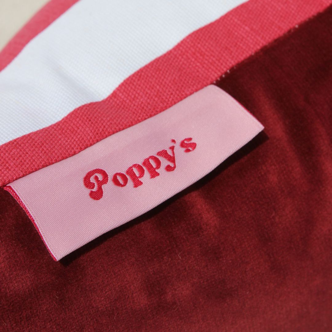 Chilli Scatter Cushion