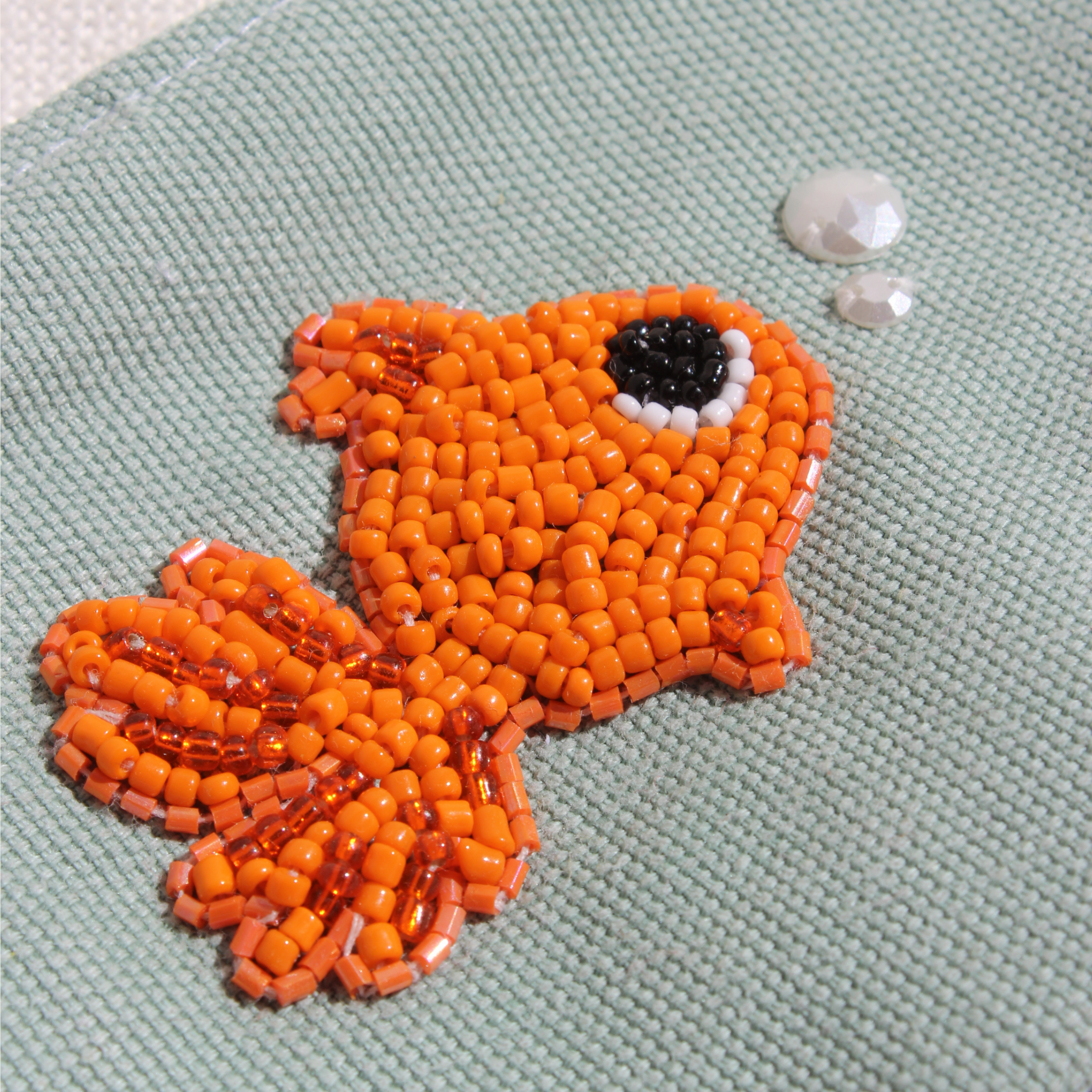 Goldfish Tiny Bag